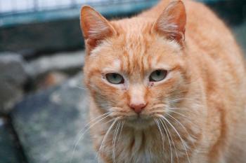 Duncan Bild von Duncan