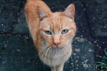 Duncan Bild von Duncan