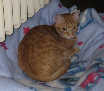 Lury Bild von Lury