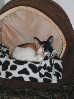 Anie Bild von Anie
