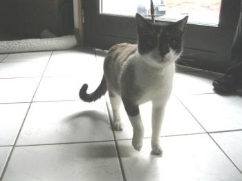 Taps-Boliche Bild von Taps-Boliche