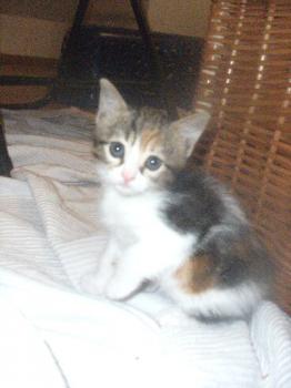 Mia Bild von Mia