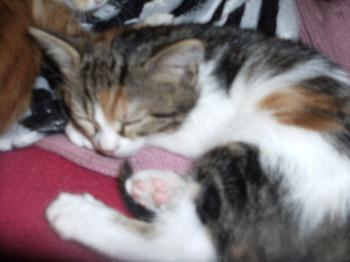 Mia Bild von Mia
