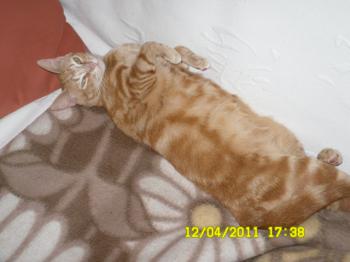 Tucker Bild von Tucker