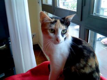 Teresita Bild von Teresita