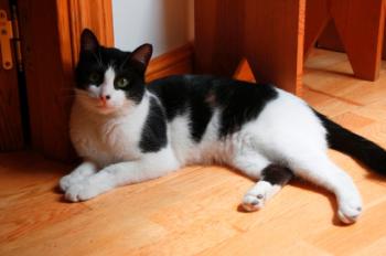 Bild von Bruce