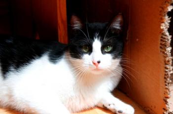 Bild von Bruce