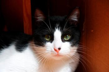 Bild von Bruce