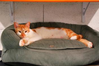 Tino Bild von Tino
