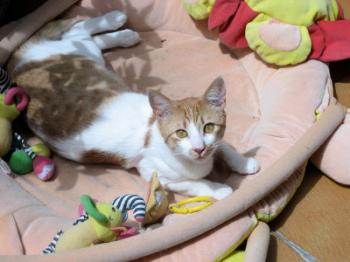 Gustavo Bild von Gustavo