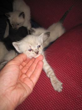 Ohne Namen 4087 Bild von Angela