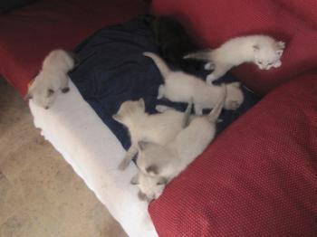 Ohne Namen 4087 Bild von Angela