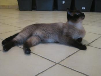 Pancho Bild von Pancho