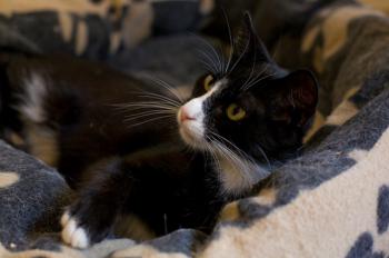 Jerry Bild von Jerry