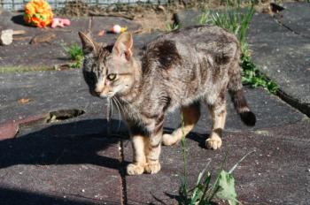 Barry Bild von Barry