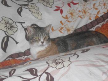 Gretel Bild von Gretel