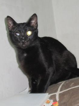 Momo Bild von Momo