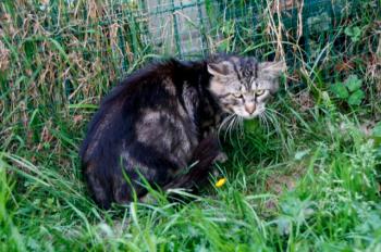 Bild von Sawyer