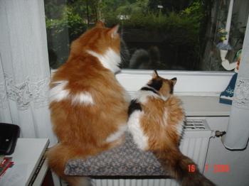 Kika Bild von Keka
