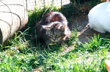 Bild von Sawyer