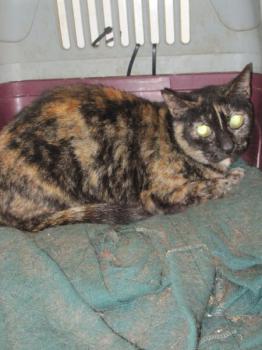 Ohne Namen 4155 Bild von Rosalind