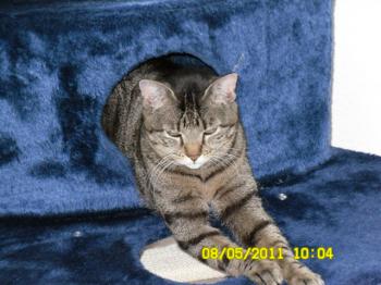 Cutie Pie Bild von Cutie Pie