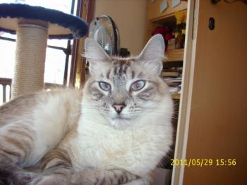 Sammy Bild von Sammy