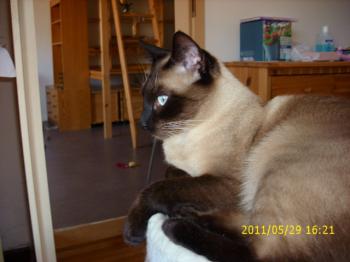 Biberoni Bild von Biberoni