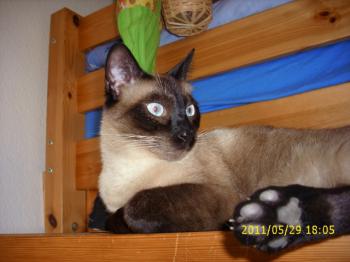 Biberoni Bild von Biberoni