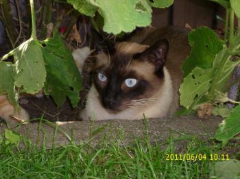 Biberoni Bild von Biberoni