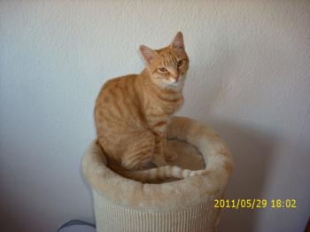 Nena Bild von Nena