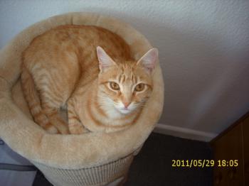 Nena Bild von Nena
