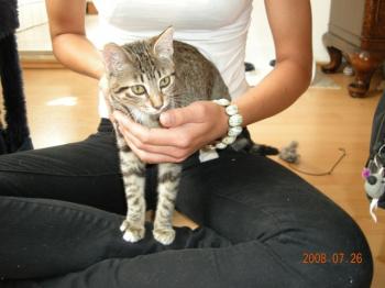 Lia Bild von Lia
