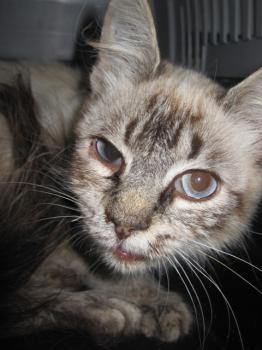 Milagritos Bild von Milagritos
