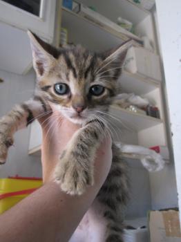 Ohne Namen 4203 Bild von Diego