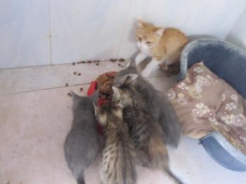 Ohne Namen 4203 Bild von Diego