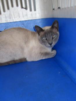 Ohne Namen 4216 Bild von Blue