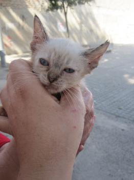 Ohne Namen 4087 Bild von Angela