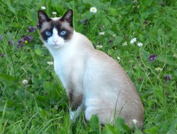 Nora Bild von Nora
