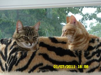 Tucker Bild von Tucker