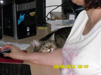 Cutie Pie Bild von Cutie Pie