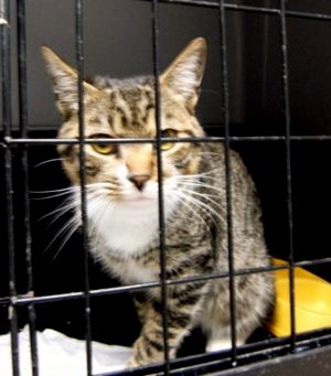 Manolo Bild von Manolo