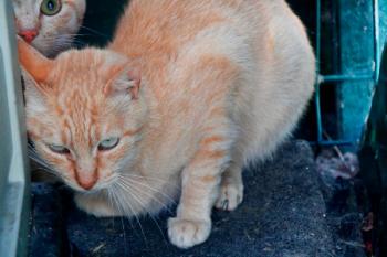 Duncan Bild von Duncan