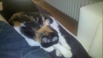 Mel Bild von Mel