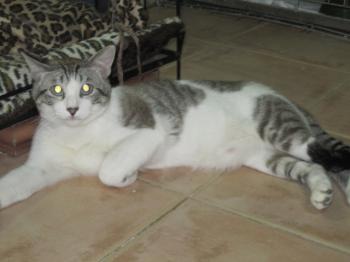 Ramos Bild von Ramos