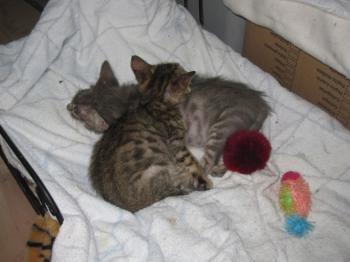 Ohne Namen 4203 Bild von Diego