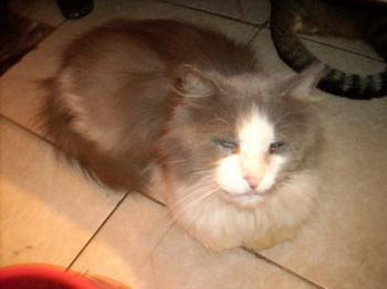 Zeus Bild von Zeus