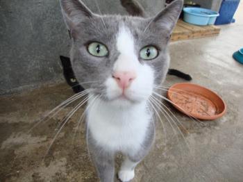 5715 Bild von Aaron 5715