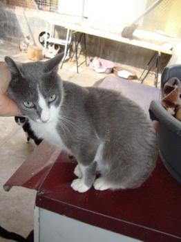 5715 Bild von Aaron 5715