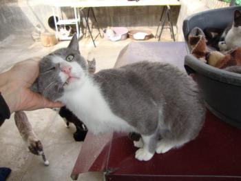 5715 Bild von Aaron 5715